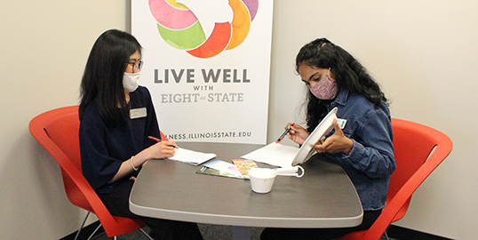 Wellness Coaching image