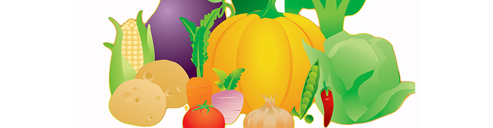 nutriFest-banner